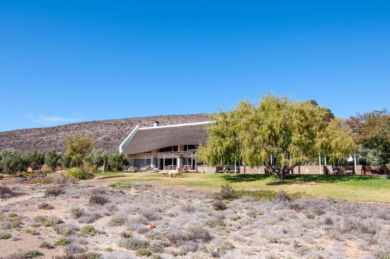 Sanbona Wildlife Reserve Barrydale Exterior photo