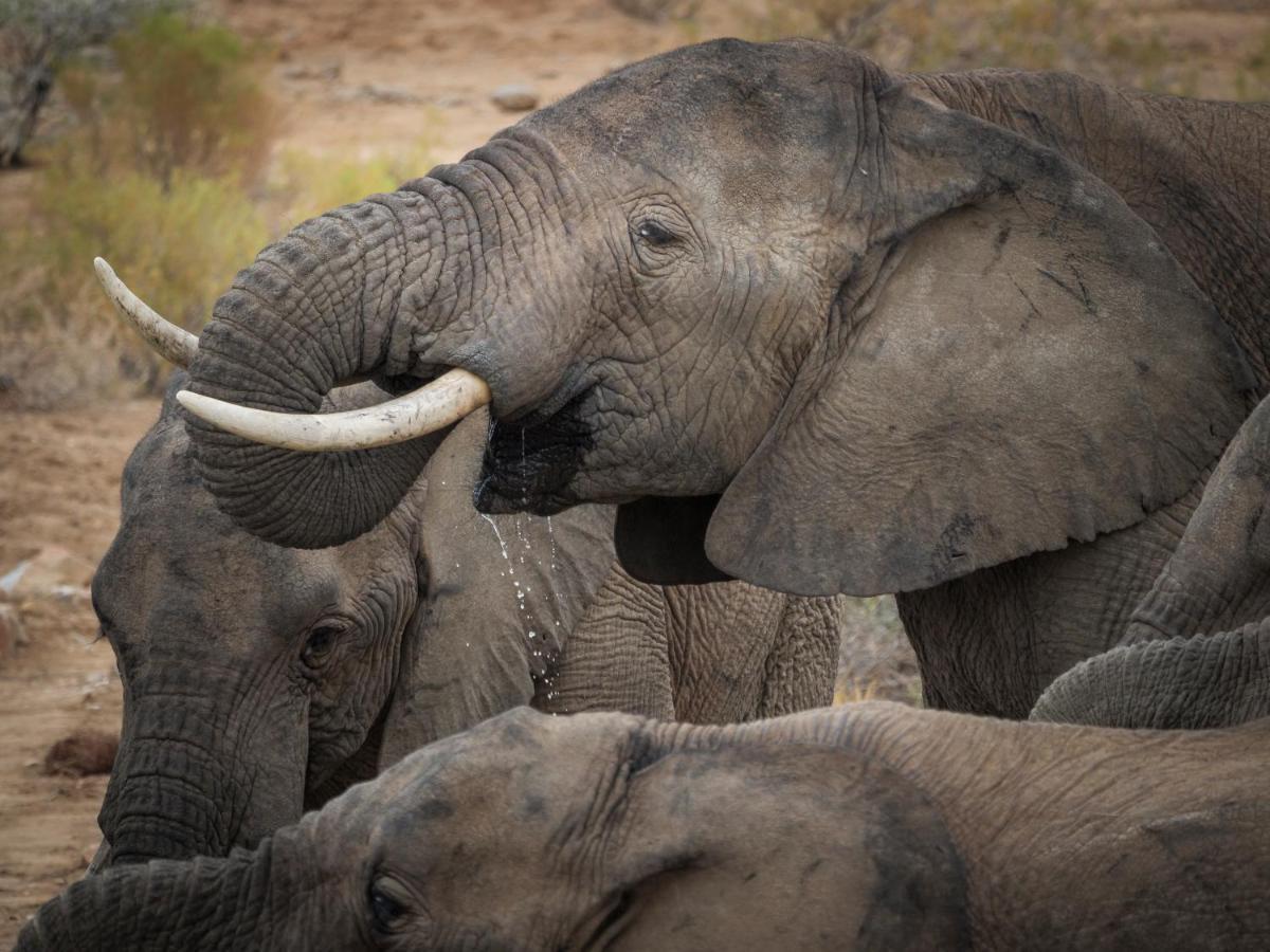Sanbona Wildlife Reserve Barrydale Exterior photo