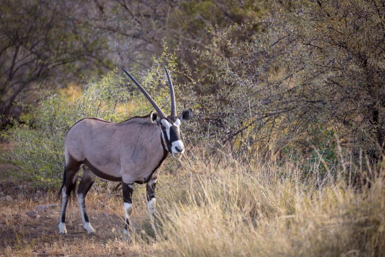 Sanbona Wildlife Reserve Barrydale Exterior photo