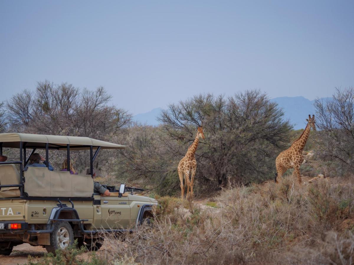 Sanbona Wildlife Reserve Barrydale Exterior photo