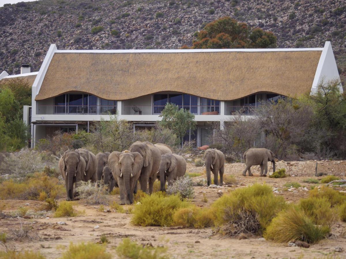 Sanbona Wildlife Reserve Barrydale Exterior photo
